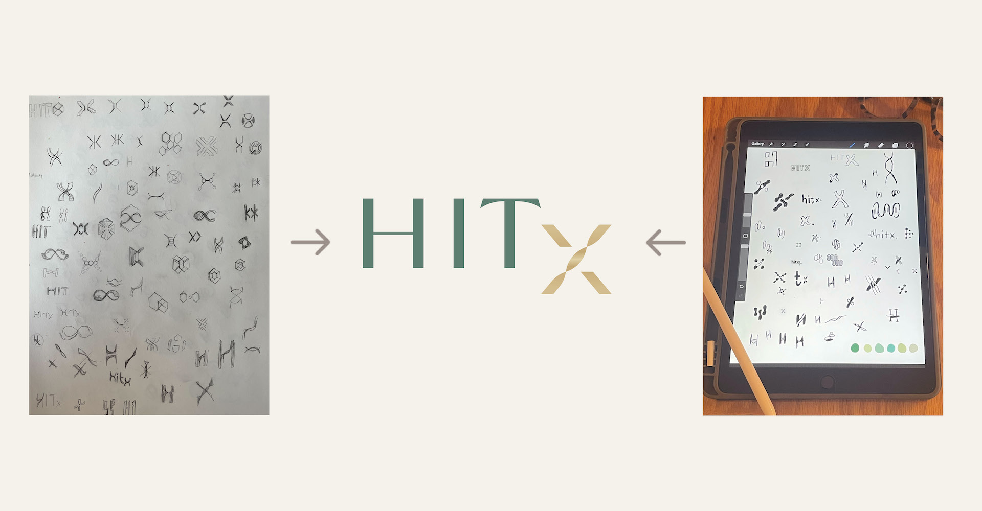 Logo design ideas completed by a design firm, Red Thinking, for HITx, a peptide therapy & hormone optimization firm.