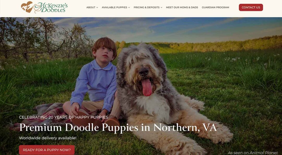 The website homepage of McKenzie's Doodles, a dog breeder, which showcases Red Thinking's web development and web designing services.